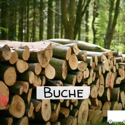 Stammholz Buche – LKW-Ladung (wahlweise ganz oder halb)