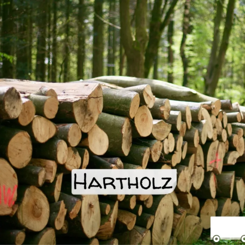 Stammholz Hartholz / Laubholz – LKW-Ladung (20 – 40 RM)