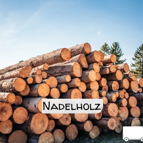 Stammholz Nadelholz – LKW-Ladung flexibel