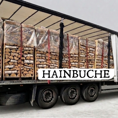 LKW-Ladung Brennholz – Hainbuche – 30/33 cm – kammergetrocknet – 2 RM Paletten