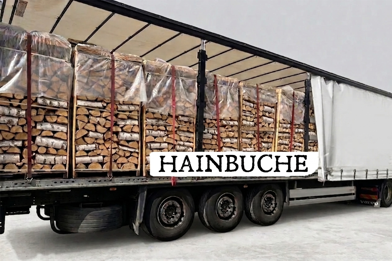 LKW-Ladung Brennholz - Hainbuche - 30/33 cm - kammergetrocknet - 1,8 RM Paletten